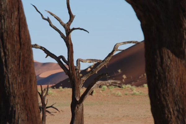 Travel in Namibia: Like Walking on Mars