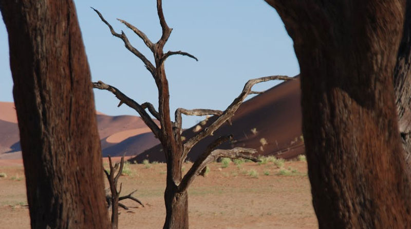 Travel in Namibia: Like Walking on Mars